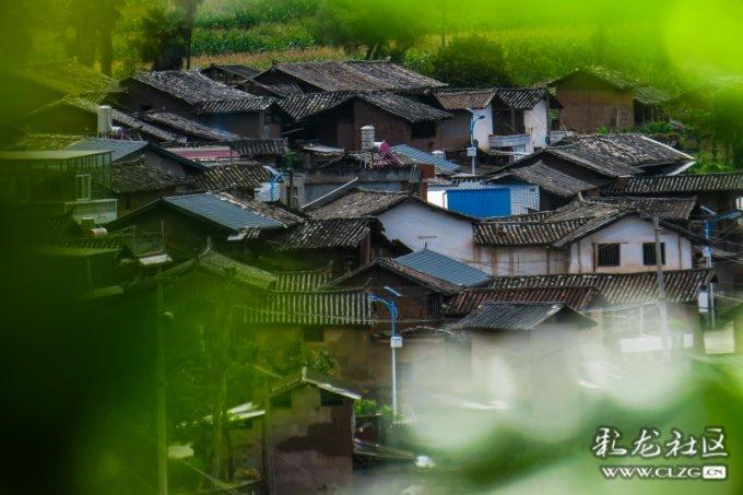 习水：科技逐梦田园 答卷“农”墨重彩